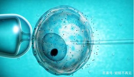 供卵试管选性别代生公司